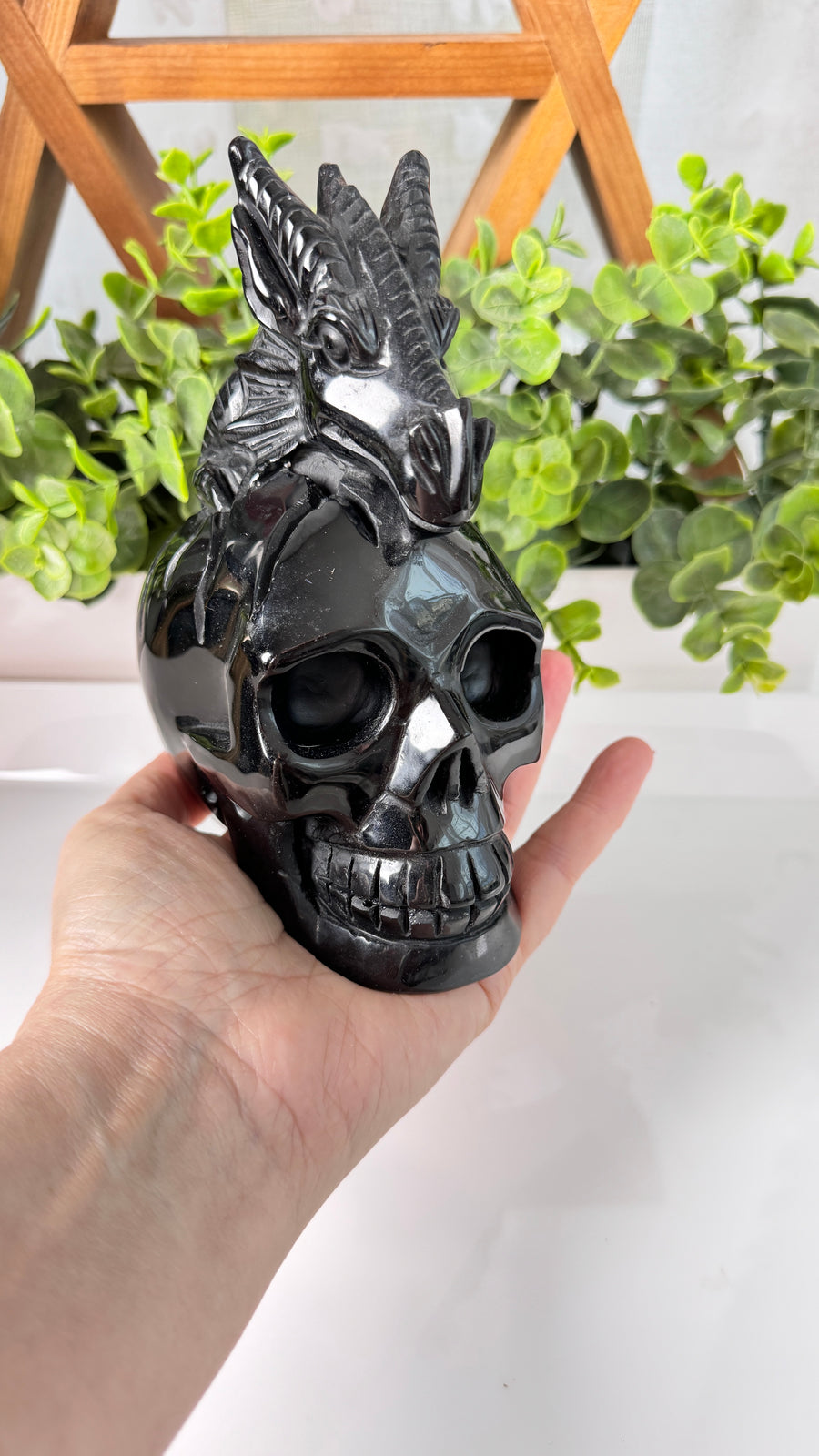 XL Dragon Skull in Black Obsidian, Master Carver Statement Crystal 5.5”