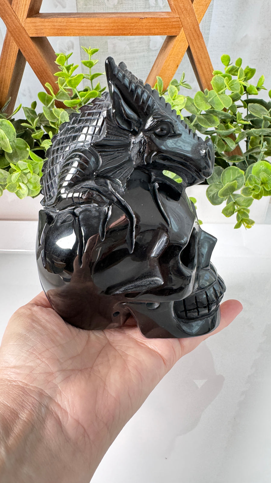 XL Dragon Skull in Black Obsidian, Master Carver Statement Crystal 5.5”