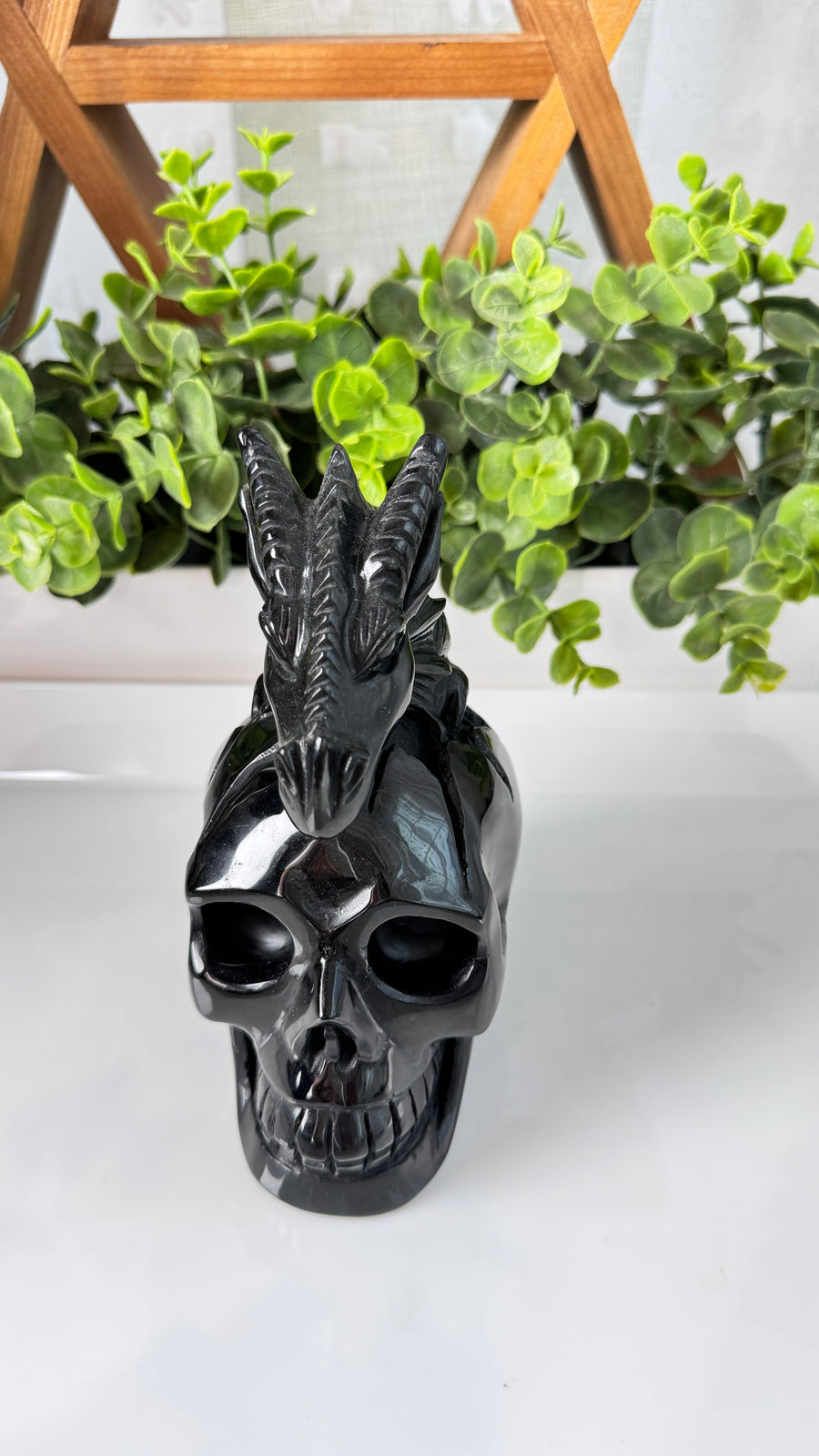 XL Dragon Skull in Black Obsidian, Master Carver Statement Crystal 5.5”