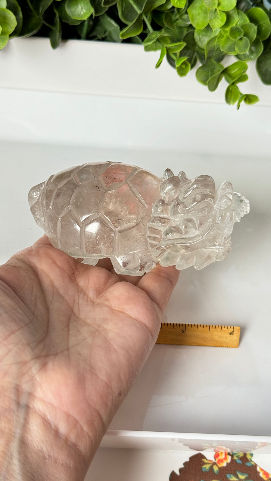 Lucky Crystal Dragon Turtle, XL Master Carver, in Clear Quartz 4.5