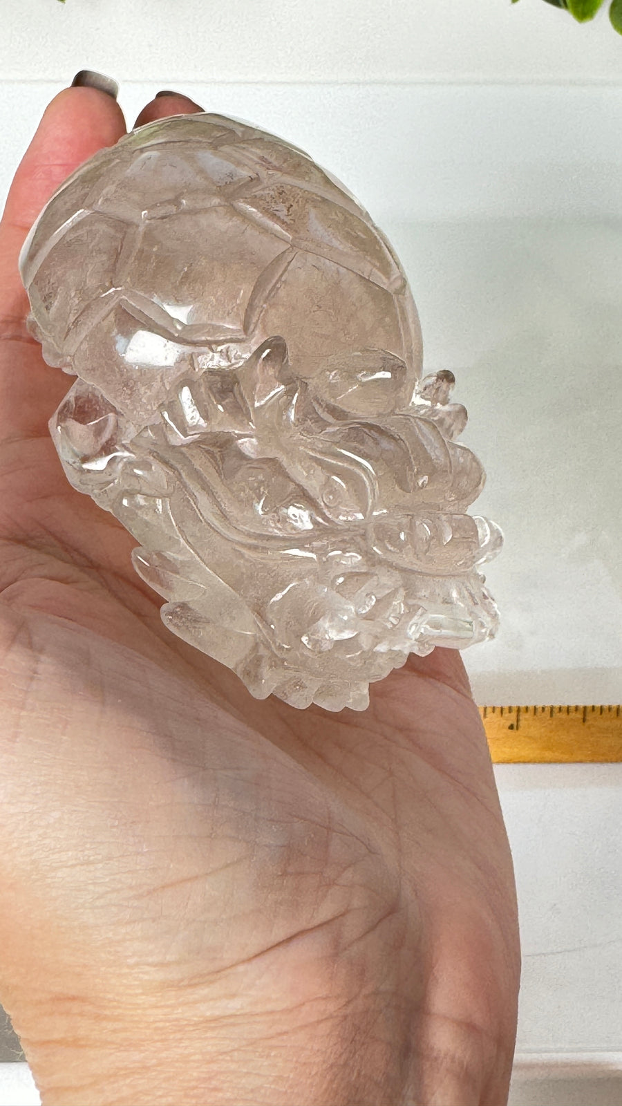 Lucky Crystal Dragon Turtle, XL Master Carver, in Clear Quartz 4.5