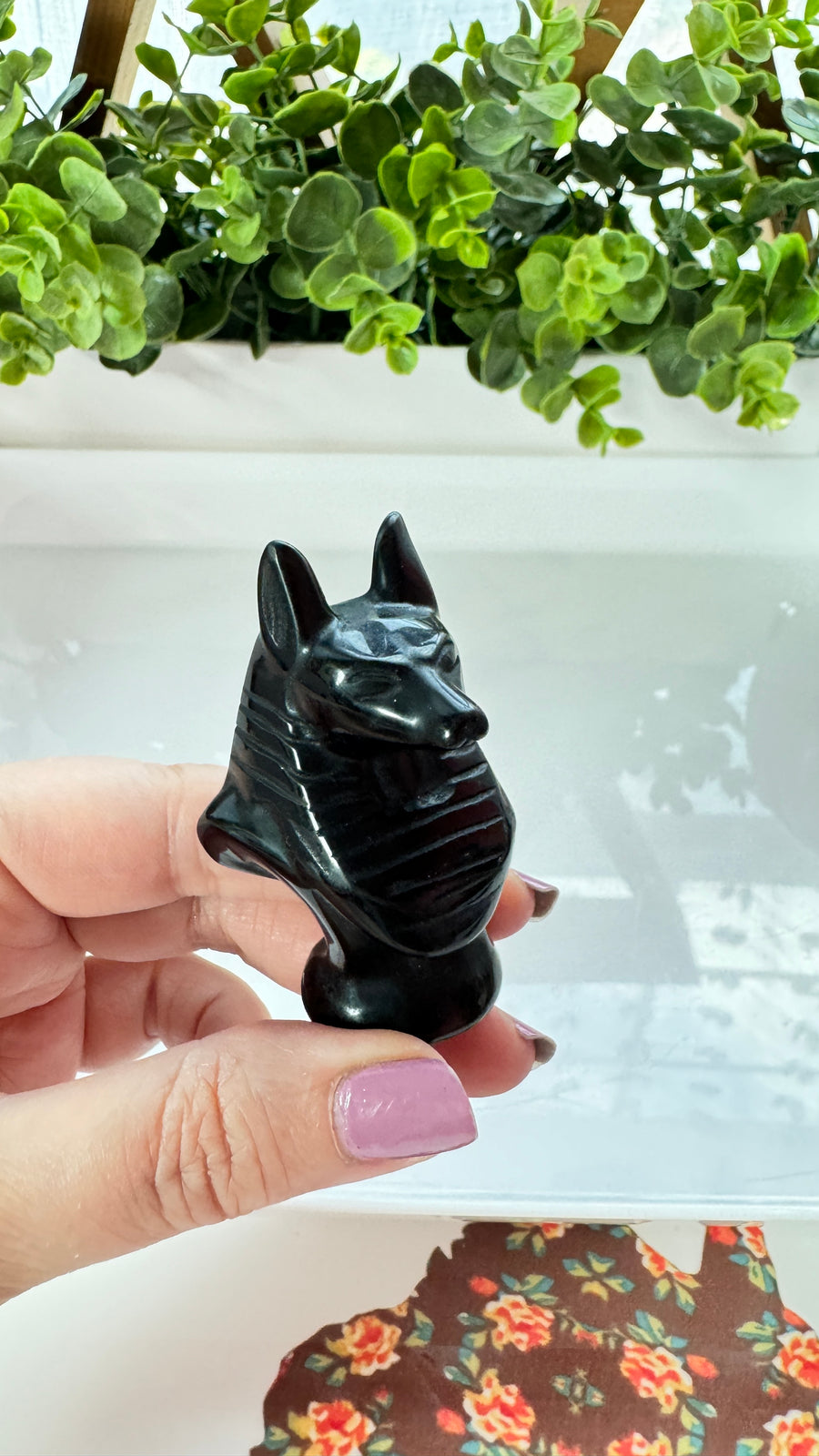 Egyptian Anubis Bust Black Obsidian