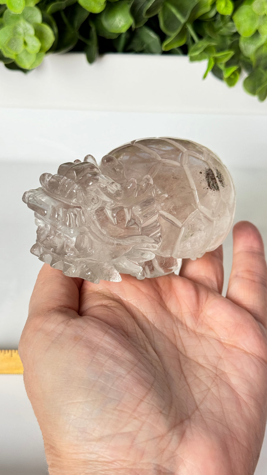 Lucky Crystal Dragon Turtle, XL Master Carver, in Clear Quartz 4.5