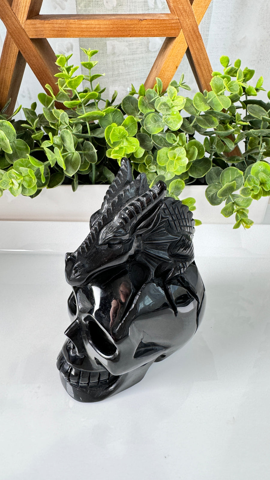 XL Dragon Skull in Black Obsidian, Master Carver Statement Crystal 5.5”