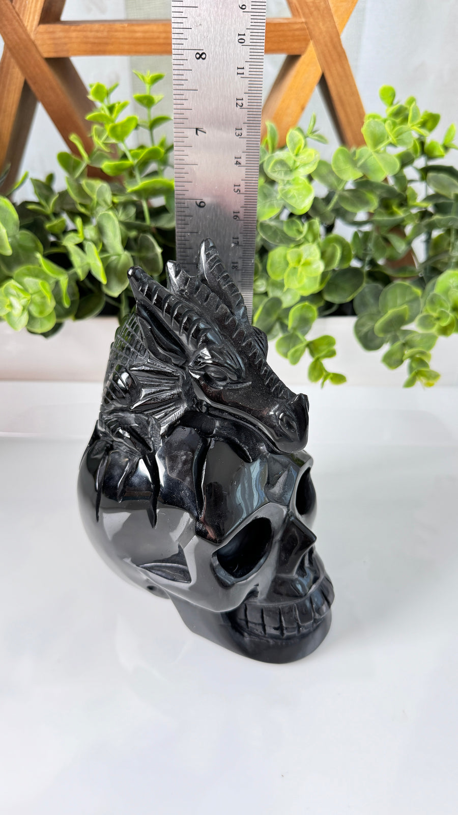 XL Dragon Skull in Black Obsidian, Master Carver Statement Crystal 5.5”