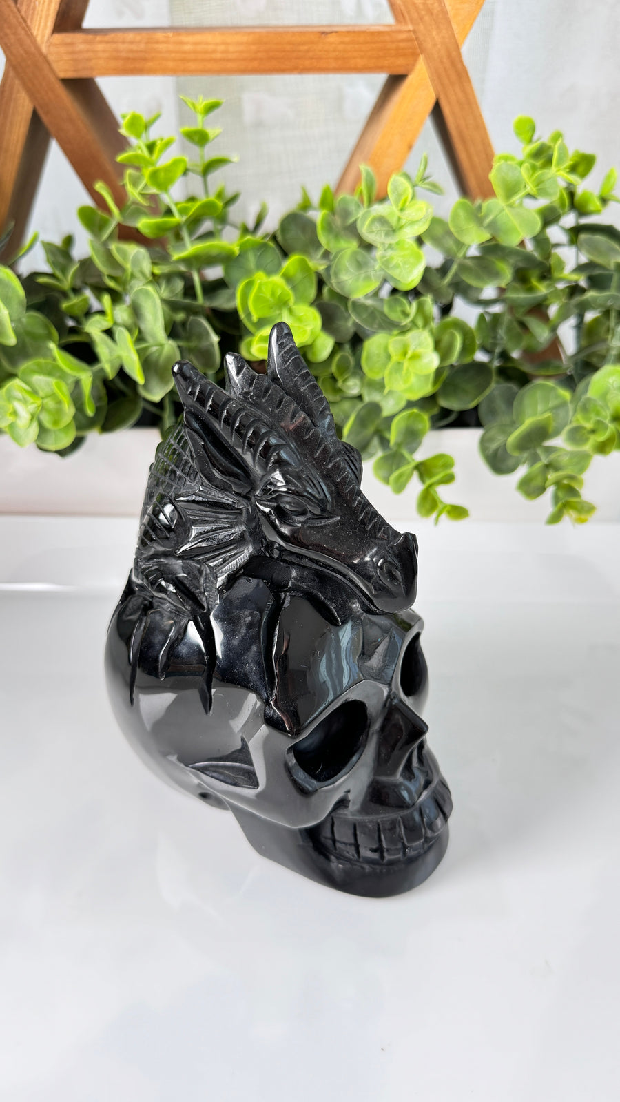 XL Dragon Skull in Black Obsidian, Master Carver Statement Crystal 5.5”