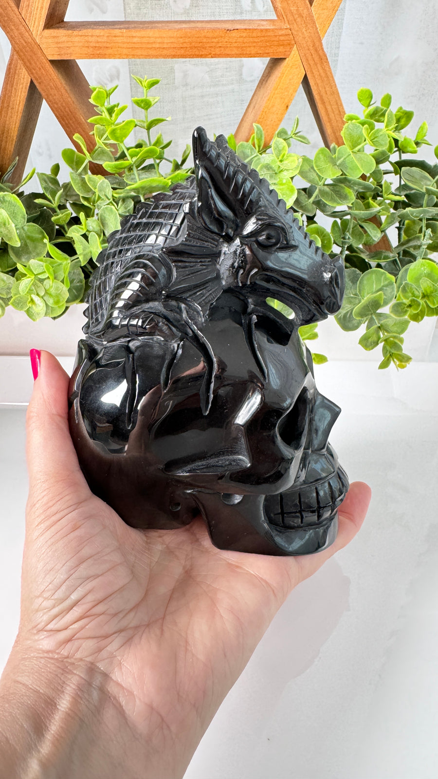 XL Dragon Skull in Black Obsidian, Master Carver Statement Crystal 5.5”