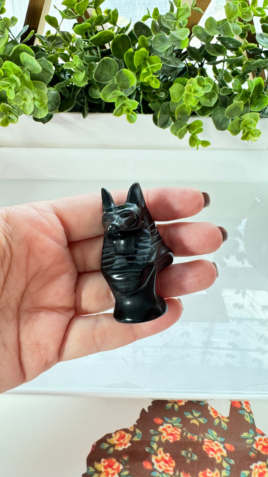 Egyptian Anubis Bust Black Obsidian