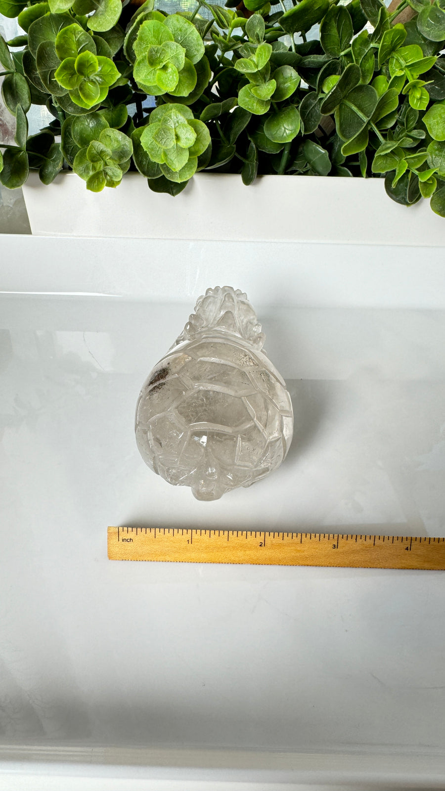 Lucky Crystal Dragon Turtle, XL Master Carver, in Clear Quartz 4.5