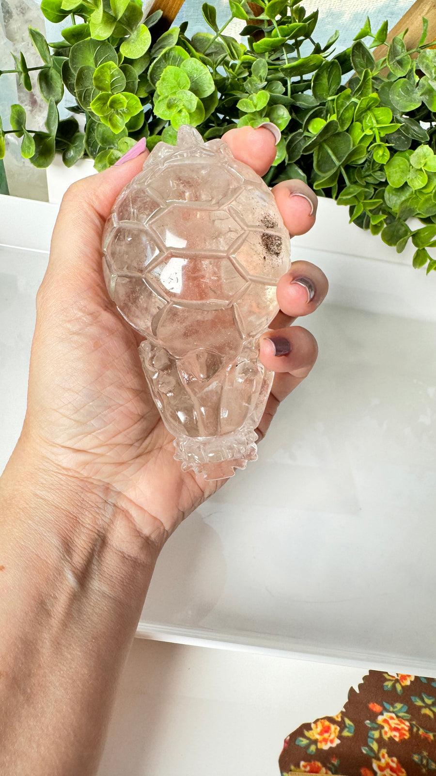 Lucky Crystal Dragon Turtle, XL Master Carver, in Clear Quartz 4.5