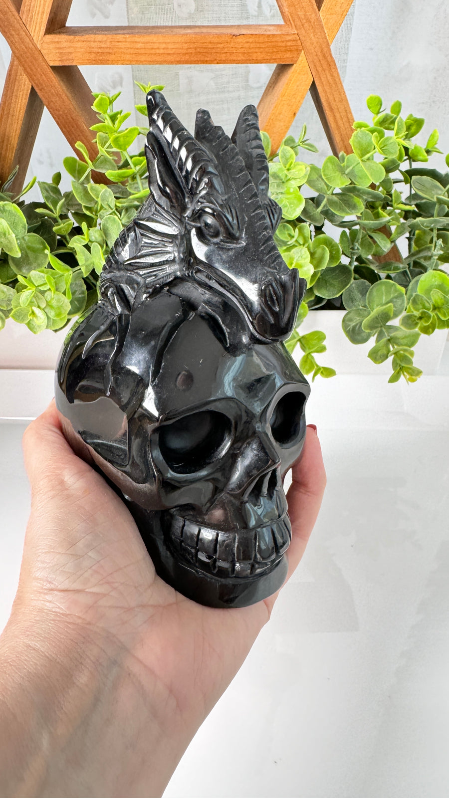 XL Dragon Skull in Black Obsidian, Master Carver Statement Crystal 5.5”