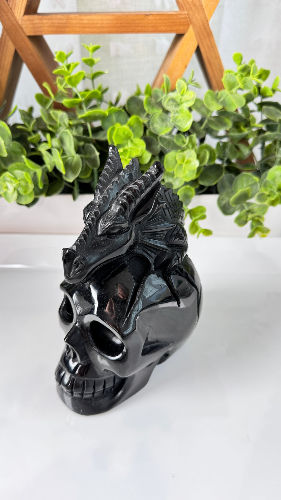 XL Dragon Skull in Black Obsidian, Master Carver Statement Crystal 5.5”