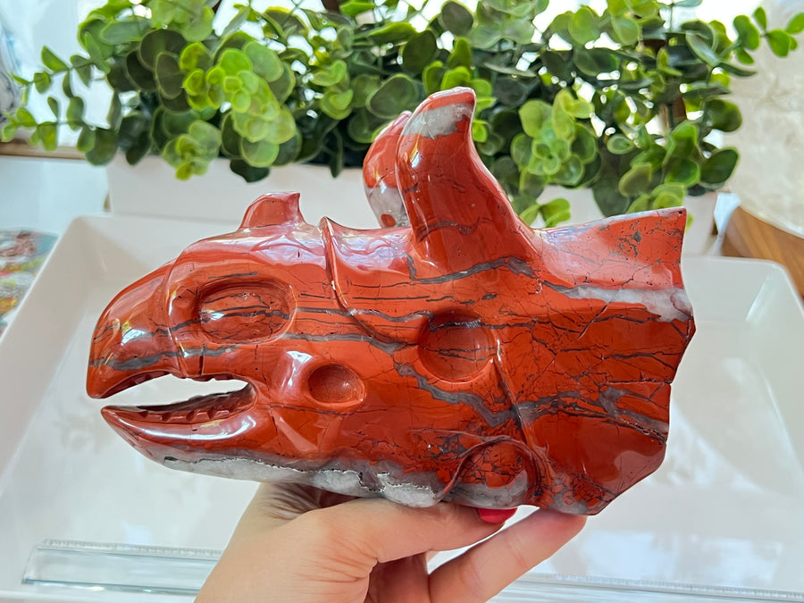 HUGE Red Jasper & Quartz Sacred Dragon Skull, Horned Dinosaur Ceratopsian